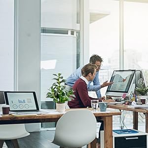 tabletop plant desk plant office decor