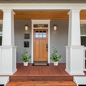 garden plant outdoor plant 