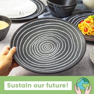 dinnerware plates reusable 