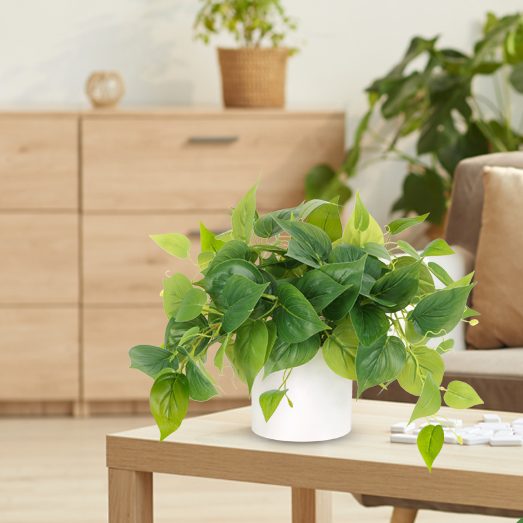 Faux Plants Indoor with Ceramic Pots, Artificial Small Fake Plants with Pothos for Home Decor Fake Potted Plant for Living Room Shelf Home Office Decor（White Ceramic Pot）