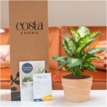 live plants for delivery