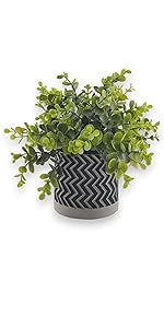 Derlily Small Artificial Plants Indoor Moncy leaf