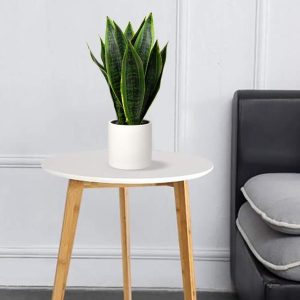 512Vhwje-L._AC_SL1001 Fake Snake Plant 16" Faux Potted Plant Artificial Snake Plant with White Ceramic Pot Sansevieria Plant Perfect for House Modern Living Room Office Housewarming Gift Indoor Decor