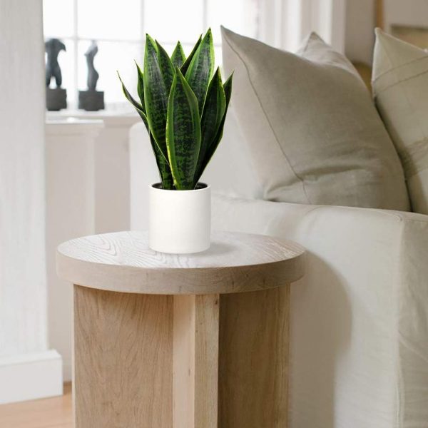Fake Snake Plant 16" Faux Potted Plant Artificial Snake Plant with White Ceramic Pot Sansevieria Plant Perfect for House Modern Living Room Office Housewarming Gift Indoor Decor
