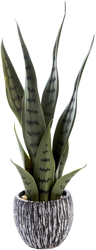 16 inch Artificial Indoor Plants Office Desk Faux Plant Peperomia Leaf Ficus Plant Realistic Small Fake Farmhouse Plants for Home Kitchen Bathroom Bedroom Evergreen Decor