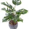 16 inch Artificial Indoor Plants Office Desk Faux Plant Peperomia Leaf Ficus Plant Realistic Small Fake Farmhouse Plants for Home Kitchen Bathroom Bedroom Evergreen Decor