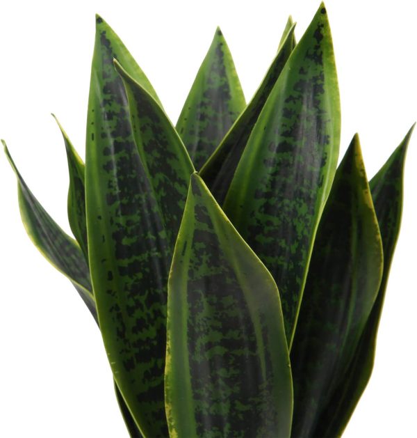 Fake Snake Plant 16" Faux Potted Plant Artificial Snake Plant with White Ceramic Pot Sansevieria Plant Perfect for House Modern Living Room Office Housewarming Gift Indoor Decor