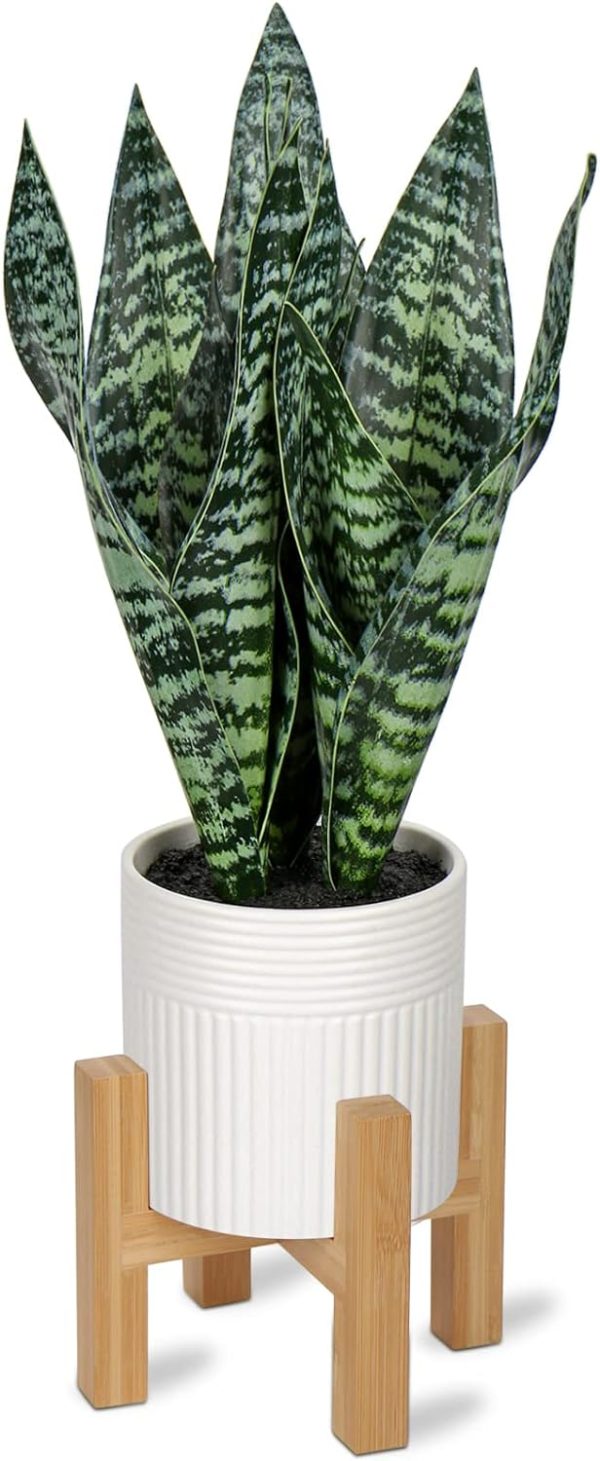 Fake Snake Plant 16" Faux Potted Plant Artificial Snake Plant with White Ceramic Pot Sansevieria Plant Perfect for House Modern Living Room Office Housewarming Gift Indoor Decor