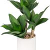 Large Artificial Succulent Plants Fake Three-Head Agave Succulent Plant Potted 15" Faux Plant in White Pot Succulent Aloe Plant Indoor for Desk Modern Home Office Living Room Table Shelf Decor