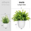 61icCPtTUaL._AC_SL1500 rtificial Potted Plants Mini Fake Plants in Pots, 4 Pack Medium Eucalyptus Potted Faux Decorative Grass Plant with White Plastic Pot for Home Decor, Indoor, Office, Desk, Table Decoration