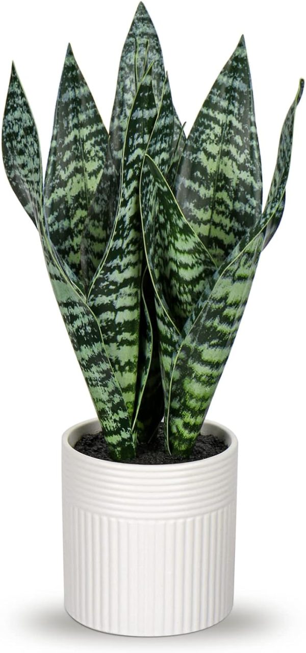 Fake Snake Plant 16" Faux Potted Plant Artificial Snake Plant with White Ceramic Pot Sansevieria Plant Perfect for House Modern Living Room Office Housewarming Gift Indoor Decor