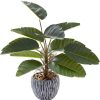 16 inch Artificial Indoor Plants Office Desk Faux Plant Peperomia Leaf Ficus Plant Realistic Small Fake Farmhouse Plants for Home Kitchen Bathroom Bedroom Evergreen Decor