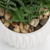 Faux Plant Indoor in Ceramic Pot 13" Artificial Potted Fern Fake House Plants for Desk Office Bathroom Garden Decoration