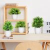712ggURsT4L._AC_SL1500 rtificial Potted Plants Mini Fake Plants in Pots, 4 Pack Medium Eucalyptus Potted Faux Decorative Grass Plant with White Plastic Pot for Home Decor, Indoor, Office, Desk, Table Decoration