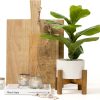 716O5-T31FL._AC_SL1500 Artificial Plant for Desk Decor | 15.5" Fake Plant with Stand | Faux Plant Indoor | Desktop Plant | Fiddle Leaf Faux Plant for Tabletop | Small Artificial Plant Indoor