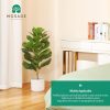 Artificial Fiddle Leaf Fig Tree 37" Fake Potted Ficus Lyrata Plant with Handmade Seagrass Basket, Perfect Faux Plants Home Décor for Indoor Outdoor Office Porch Balcony Bedroom Bathroom Gift