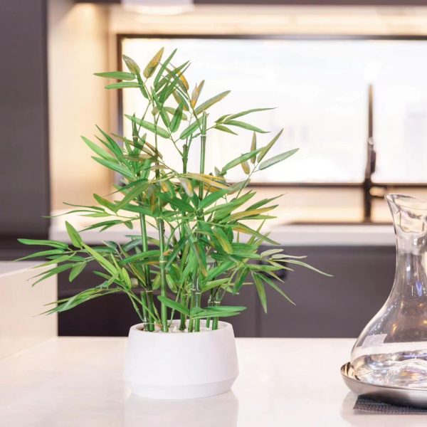 71CtWXNp1_L._AC_SL1280 18 inch Tall White Potted Faux Bamboo Plant- Luxury Artificial Bamboo Tree in White Pot for Home, Office, Kitchen, Counter Top, Indoor Decor, Money Tree, Lucky Bamboo Tree.