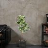 Artificial Rubber Tree Plant 43in Tall Faux Ficus Tree Potted Fake Tropical Decorative House Large Floor Artificial Plants for Home Office Store Room Decor