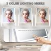 Hollywood Vanity Mirror with Lights, Lighted Vanity Mirror with Detachable 10X Magnification Mirror, 3 Colors, 1200mAh Rechargeable Standing Makeup Mirror with Lights White