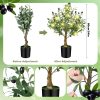 71JlXQ_7FeL._AC_SL1500 24 Inch Artificial Olive Tree Tall Faux Silk Olive Trees with LED String Lights Fake Potted Artificial Plants Indoor Outdoor for Home Office Table Decor