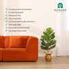 Artificial Fiddle Leaf Fig Tree 37" Fake Potted Ficus Lyrata Plant with Handmade Seagrass Basket, Perfect Faux Plants Home Décor for Indoor Outdoor Office Porch Balcony Bedroom Bathroom Gift