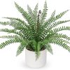 Faux Plant Indoor in Ceramic Pot 13" Artificial Potted Fern Fake House Plants for Desk Office Bathroom Garden Decoration