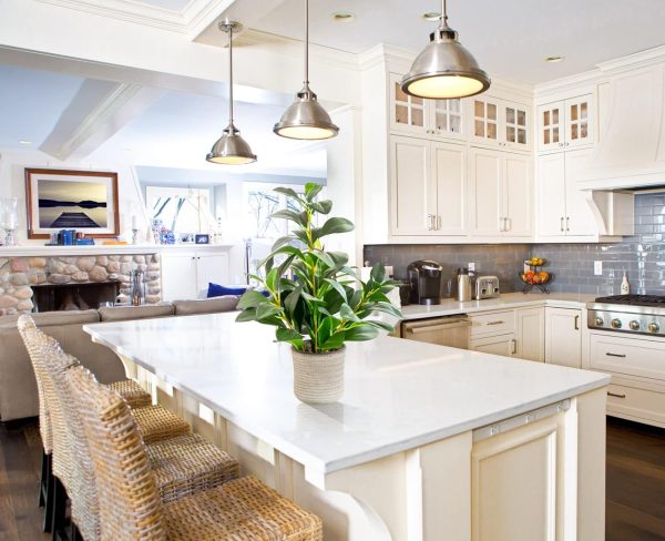 16 inch Artificial Indoor Plants Office Desk Faux Plant Peperomia Leaf Ficus Plant Realistic Small Fake Farmhouse Plants for Home Kitchen Bathroom Bedroom Evergreen Decor