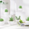 6 Packs Fake Plants Small Realistic Succulents Plants Artificial for Home Room Decor Indoor