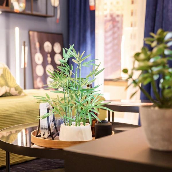 71eznv2IUGL._AC_SL1280 18 inch Tall White Potted Faux Bamboo Plant- Luxury Artificial Bamboo Tree in White Pot for Home, Office, Kitchen, Counter Top, Indoor Decor, Money Tree, Lucky Bamboo Tree.