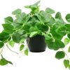 1 Pack Fake Plants Artificial Scindapsus Aureus in Pots, Realistic Fake Greenery Potted Plants for Home Office Desk Window Sill Bathroom Bedroom Outdoor Indoor