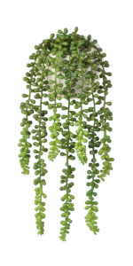 String of Pearls with Pot