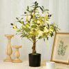 81J8ydQ8qWL._AC_SL1500 24 Inch Artificial Olive Tree Tall Faux Silk Olive Trees with LED String Lights Fake Potted Artificial Plants Indoor Outdoor for Home Office Table Decor