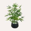 81UeGCkcp5L._AC_SL1500 18 inch Tall White Potted Faux Bamboo Plant- Luxury Artificial Bamboo Tree in White Pot for Home, Office, Kitchen, Counter Top, Indoor Decor, Money Tree, Lucky Bamboo Tree.