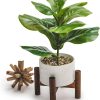 81Vg57G1G5S._AC_SL1500 Artificial Plant for Desk Decor | 15.5" Fake Plant with Stand | Faux Plant Indoor | Desktop Plant | Fiddle Leaf Faux Plant for Tabletop | Small Artificial Plant Indoor