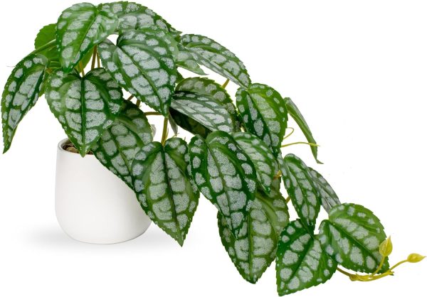 81WoHDWP7dL._AC_SL1500 Fake Plants Indoor 8 Inch Artificial Monstera Leaves in Ceramic Pot - Faux Potted Tropical Palm Plant for Home Aesthetic Decor Living Room Shelf Office