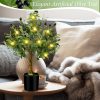 81jdSWagibL._AC_SL1500 24 Inch Artificial Olive Tree Tall Faux Silk Olive Trees with LED String Lights Fake Potted Artificial Plants Indoor Outdoor for Home Office Table Decor