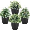 81tAPHT4LsL._AC_SL1500 rtificial Potted Plants Mini Fake Plants in Pots, 4 Pack Medium Eucalyptus Potted Faux Decorative Grass Plant with White Plastic Pot for Home Decor, Indoor, Office, Desk, Table Decoration