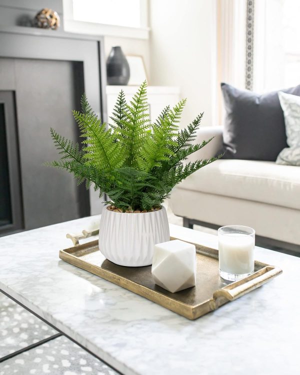 Faux Plant Indoor in Ceramic Pot 13" Artificial Potted Fern Fake House Plants for Desk Office Bathroom Garden Decoration