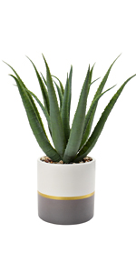 artificial succulent plant
