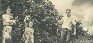 costa farms miami jose costa