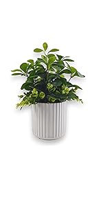 Derlily Artificial Plants Indoor Banyan leaves