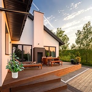 tabletop plant desk decor office plant