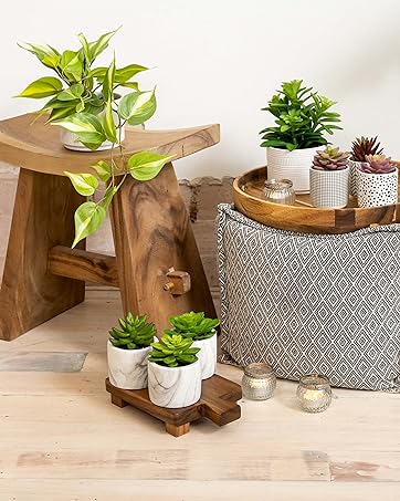 d1da83e0-afc5-4bc4-a95c-453648e5bb3f.__CR187020462560_PT0_SX362_V1___ Artificial Plant for Desk Decor | 15.5" Fake Plant with Stand | Faux Plant Indoor | Desktop Plant | Fiddle Leaf Faux Plant for Tabletop | Small Artificial Plant Indoor