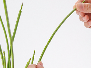 hanging plants artificial decor