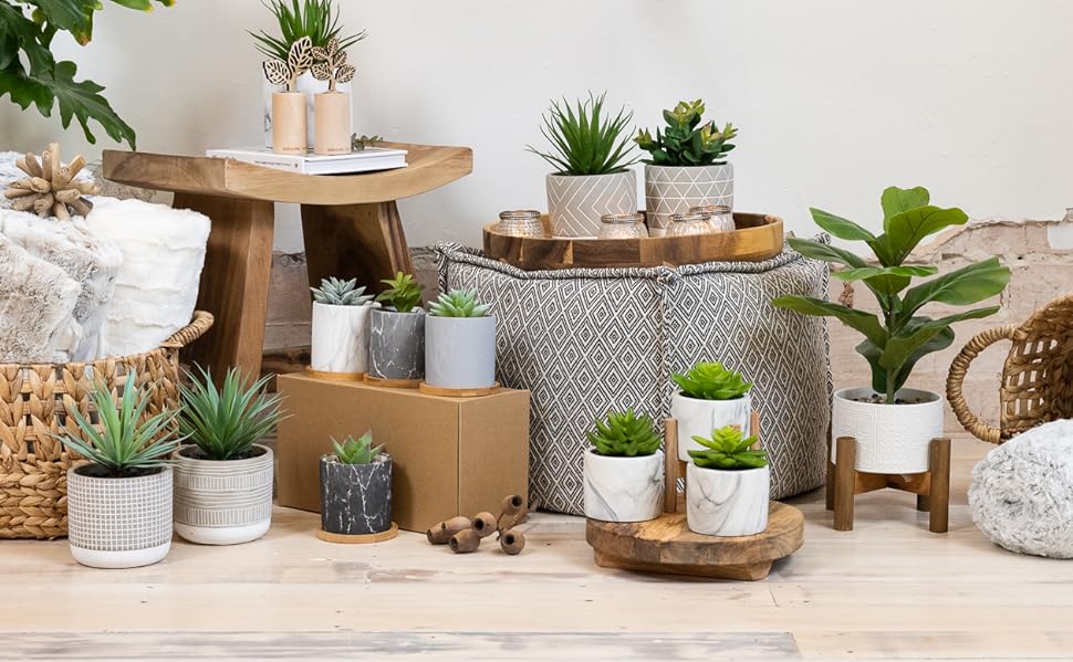 kurrajong farmhouse artificial plants