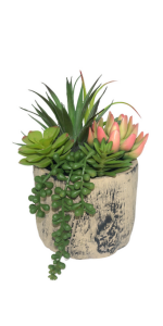 Succulent Plant Artificial
