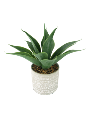 Artificial Aloe