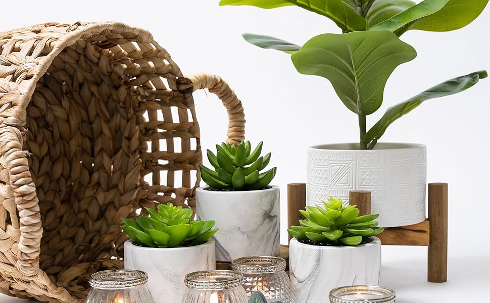 faux fiddle leaf fig